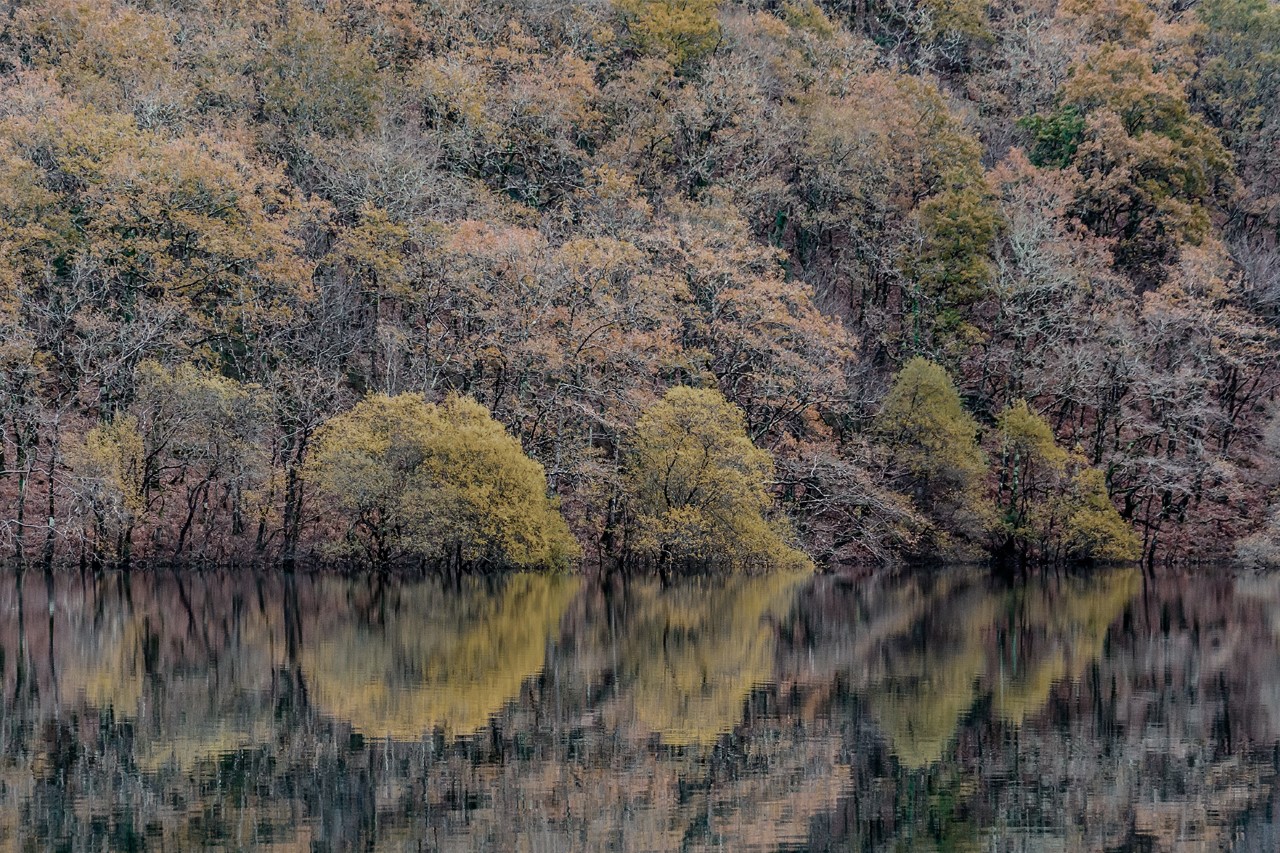 Imaxe de Fondo